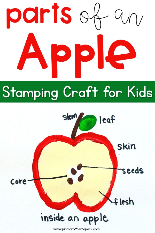 Parts Of An Apple Craft Primary Theme Park