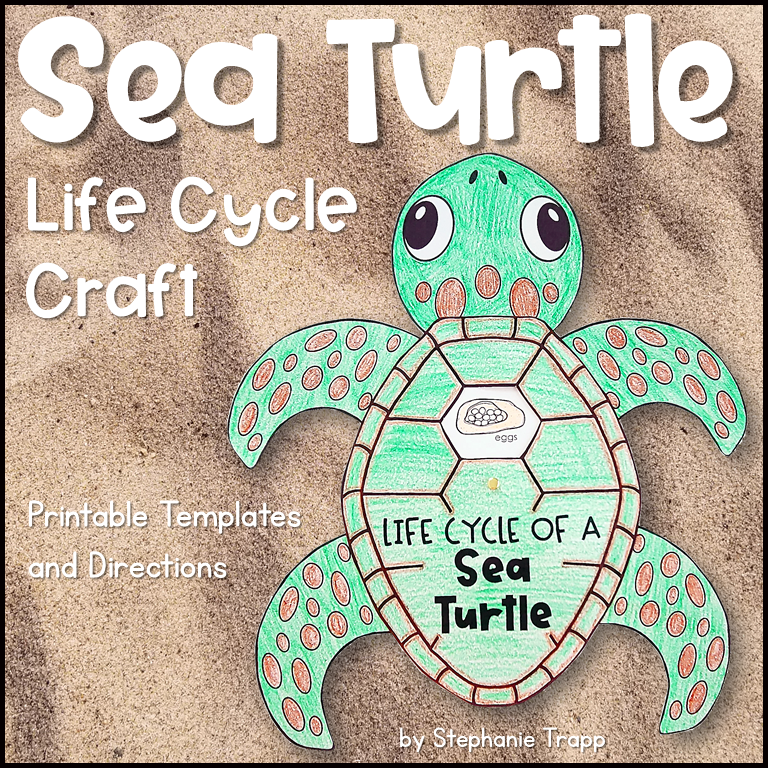 Sea Turtle Activities For First Grade Teach About The Life Cycle Of A