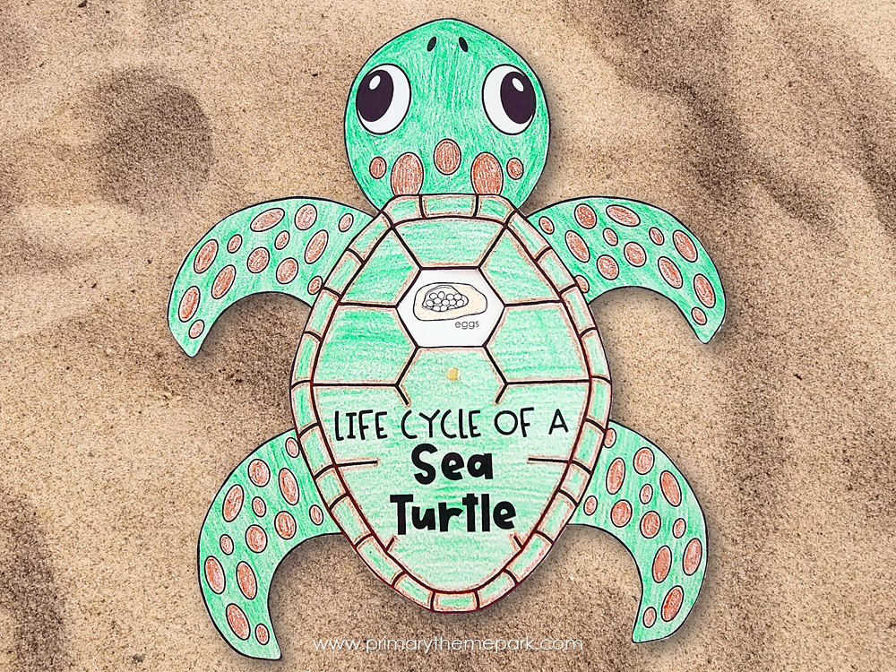 Sea Turtle Art Project